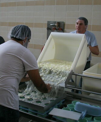 A Practical Introduction to Cheesemaking at Oregon State University