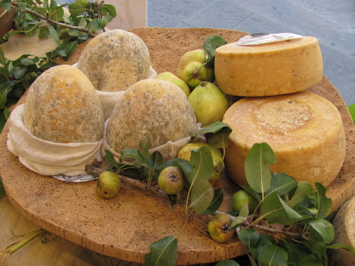 Debbie in Italy, Part 3: Aged Pecorino