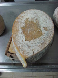 Debbie in Italy, Part 4: Sardinian Pecorino