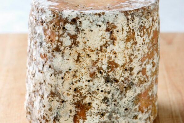 Cheddar (Stirred Curd)